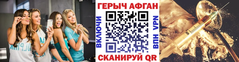 ГЕРОИН хмурый  Ессентуки 