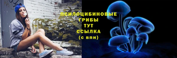 ECSTASY Кинешма