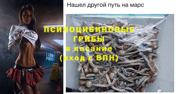 крисы Киреевск