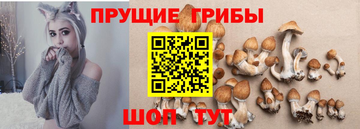 Галлюциногенные грибы GOLDEN TEACHER Ессентуки