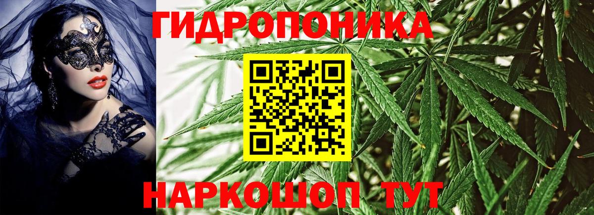 Канабис Ganja  Шишки марихуана Ganja  Ессентуки  Вход с VPN  Канабис гибрид 